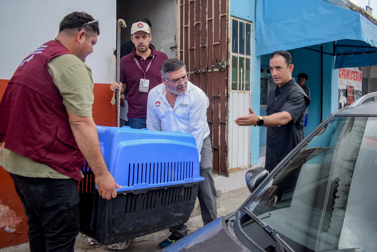 uploads/6/32/01 (2806).Jpeg